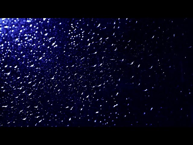 Sleep Sounds Rain (Black Screen)