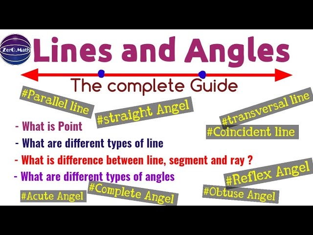 lines and angles class 7 | What are Rays, Lines and Line Segments? | NCERT | Zero Math