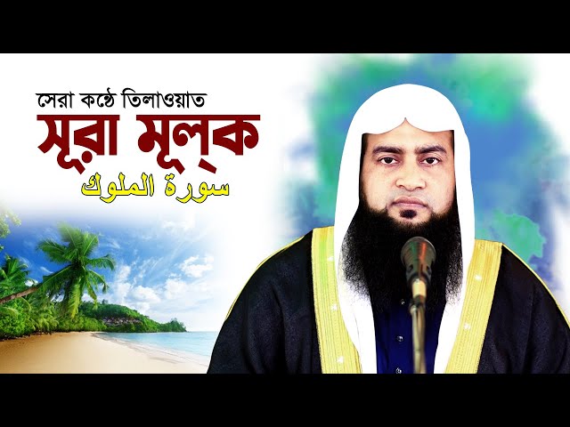 সবচেয়ে সেরা কন্ঠে সূরা মূলক | Surah Mulk Recitation | Maulana Ashraf Ali | Beautiful Voice Tilawat