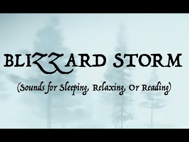 ❄️SOUNDS OF A BLIZZARD STORM (Sleep, Relax, Or Read)