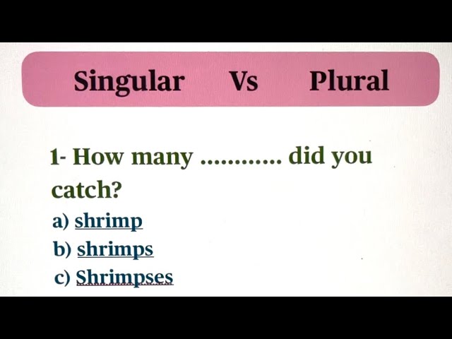 Singular vs Plural | English Grammar Exercise
