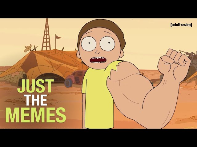 Just the Memes | Rick and Morty | adult swim