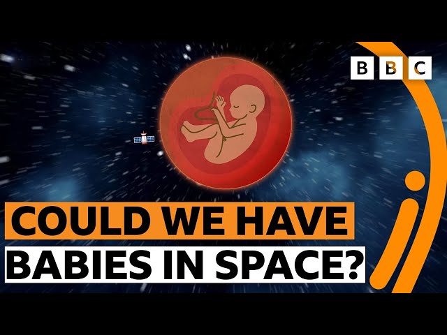 Could we have babies in space? | The Royal Society