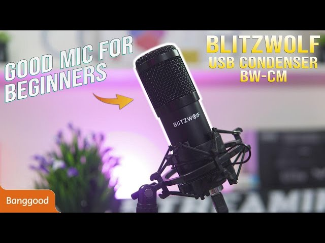 Best Budget Mic For Aspirant Streamer | Blitzwolf BW-CM Usb Condenser Microphone