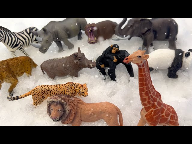 Finding Zoo Animal Toys Buried in the Snow