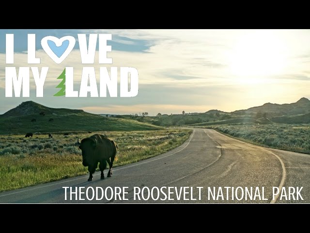 I Love Theodore Roosevelt National Park - NEEF Video Contest Entry