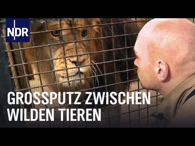 Frühjahrsputz in Niedersachsens Zoos | Die Nordreportage | NDR Doku