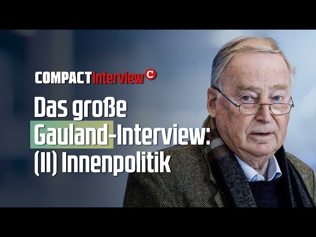 Das große Gauland-Interview: (II) Innenpolitik