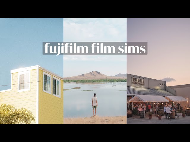 Fujifilm Film Simulations I Use On A Daily Basis