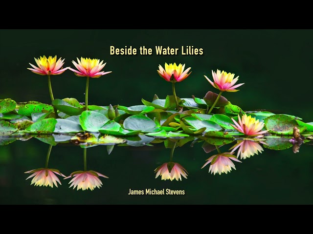Beside the Water Lilies - Relaxing Piano