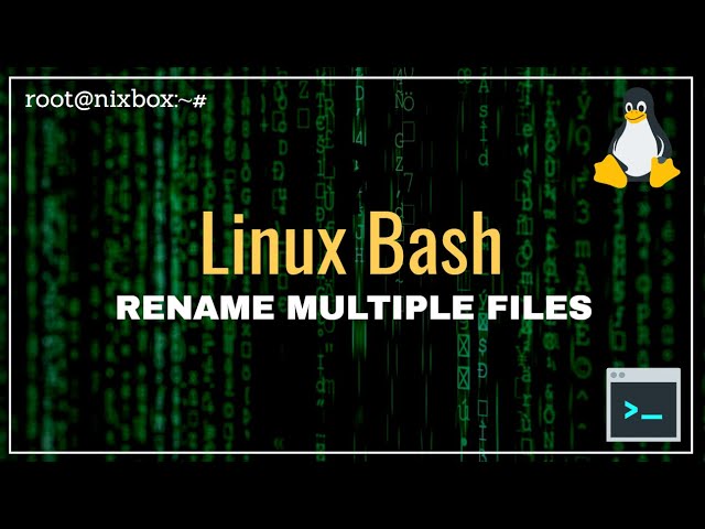 How to Change File Extension to Multiple Files at Once in Bash