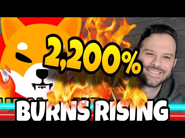 Shiba Inu Coin | SHIB Burn Rate Soars Over 2,200% But Still A Lot Of Work To Do!