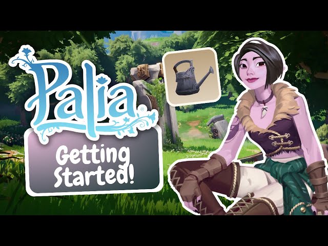 50 Beginner Tips & Tricks for Palia! 🎉🎈