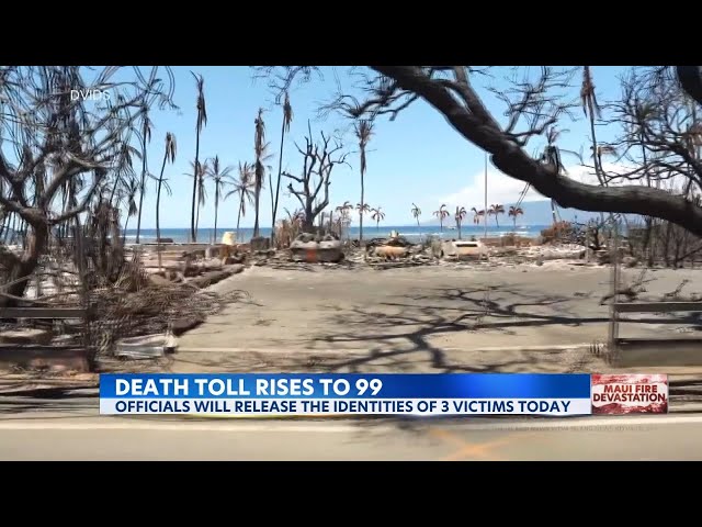 'Emotionally catastrophic' | Officials asking for DNA samples as hundreds still missing in Lahaina