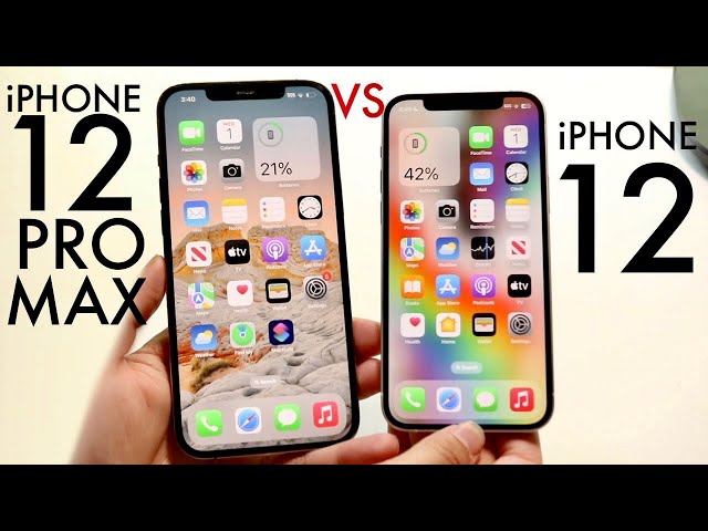 iPhone 12 Vs iPhone 12 Pro Max In 2024! (Comparison) (Review)