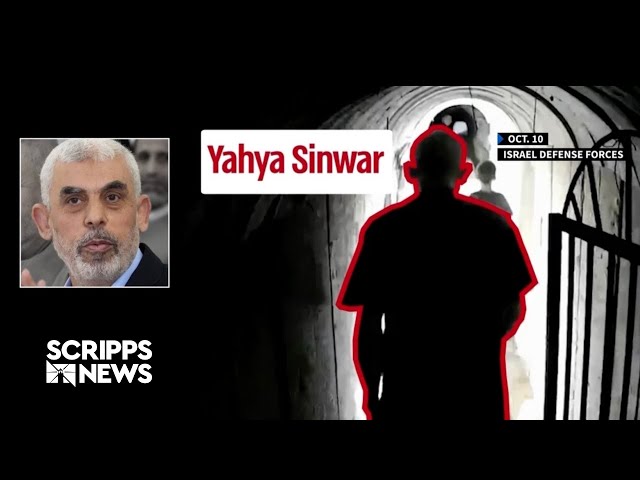Israel releases video allegedly showing Hamas leader fleeing Gaza tunnels