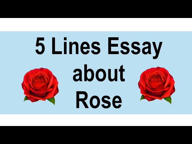 5 Lines on Rose in English || 5 Lines Essay || 5 Essay about Rose