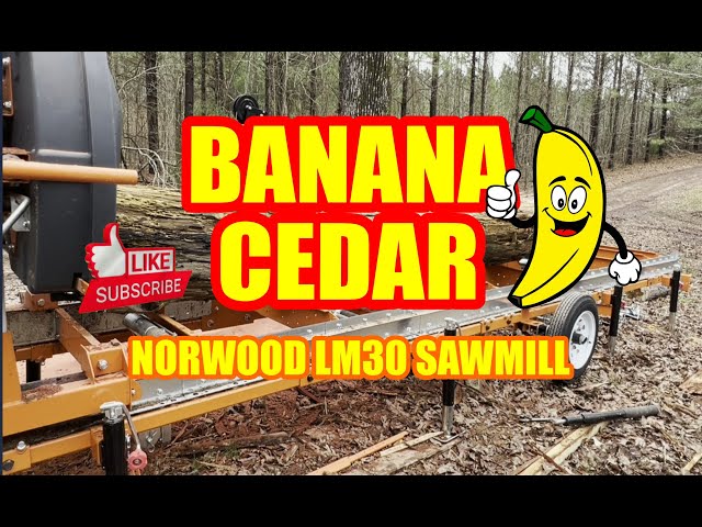 Banana Shaped Eastern Red Cedar Is No Match For The Norwood LM30