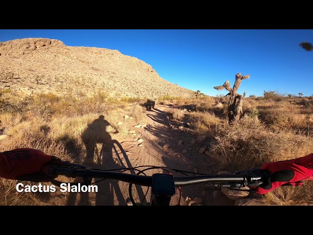 The Return Of Cactus Slalom Trail in Vegas - Late Night Trail System - Trek Fuel Ex 5