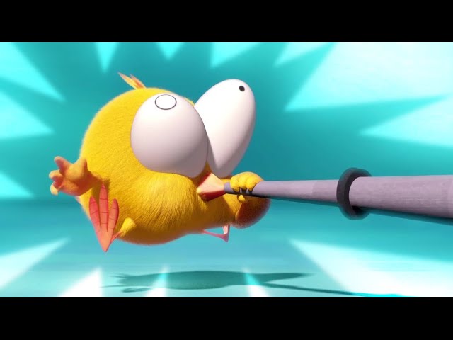 Funny Chicky | Where's Chicky? | Cartoon Collection in English for Kids | New episodes