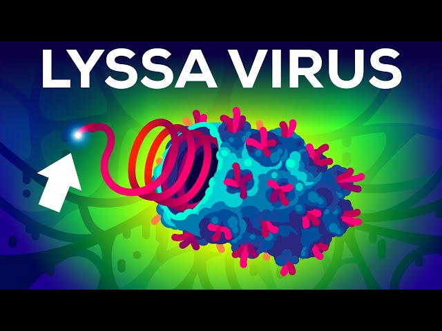 The Deadliest Virus on Earth