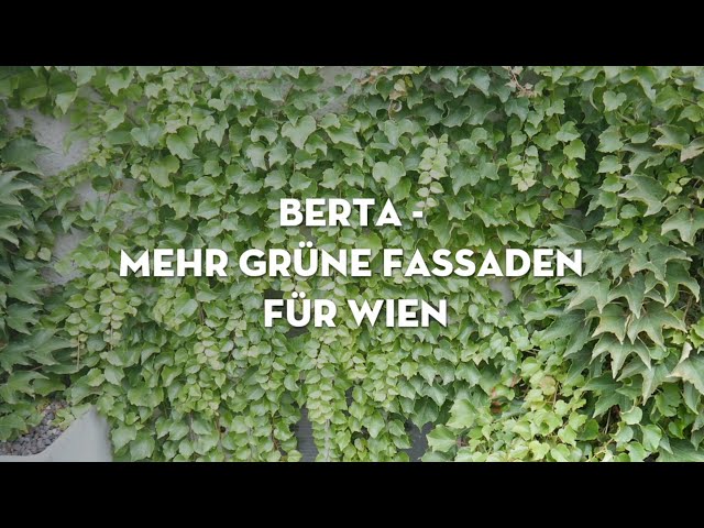 BeRTA - Mehr grüne Fassaden für Wien