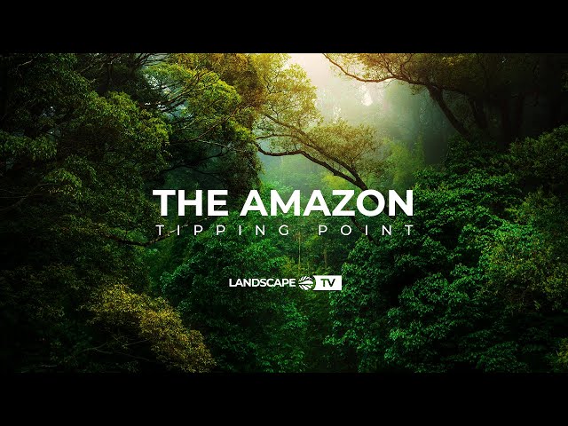Amazon Deforestation: The Next Climate Tipping Point?