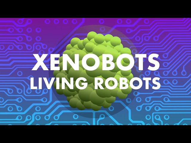 Xenobots - Tiny Living Robots