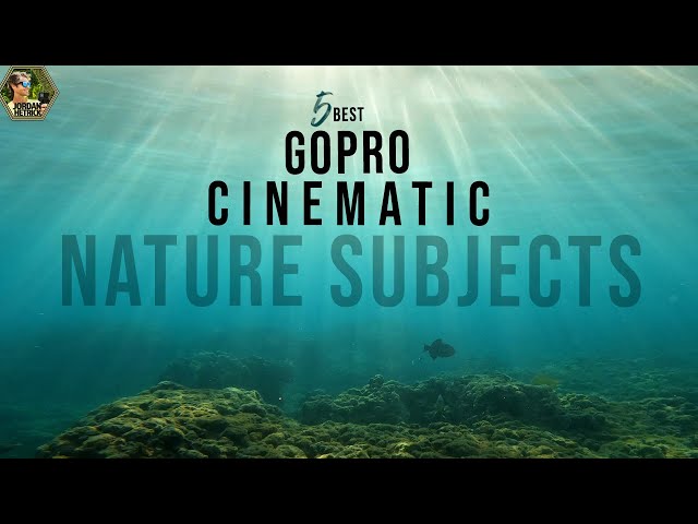 GoPro CINEMATIC TIPS | 5 Best Nature Subjects