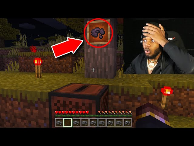 Do NOT Use Disc-11 in Minecraft... *SCARY*
