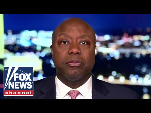 Tim Scott: This is the plot of the radical left