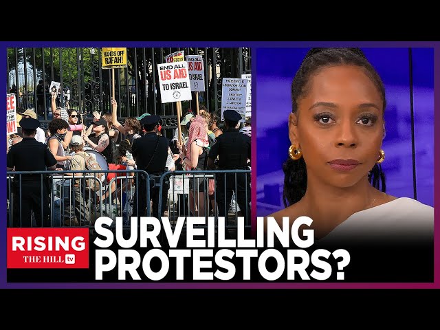 US Uses FISA To SPY On Americans Protesters For Israel: Briahna Joy Gray