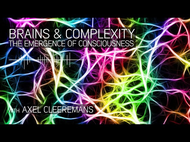 Brains and Complexity: the Emergence of Consciousness with Axel Cleeremans