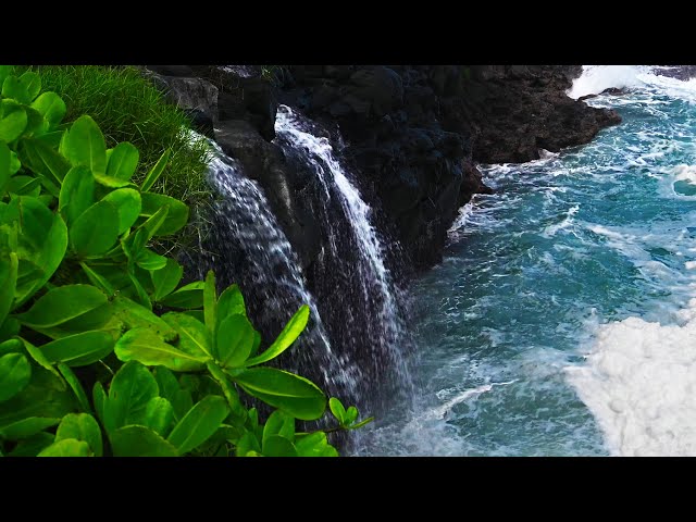 Kauai Waterfall on Ocean Waves | Hawaiian Water Sounds for Sleep & Relaxation