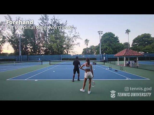 Live Tennis Lesson || Forehand Footwork || 9/11/23 - Dani Lesson No. 2