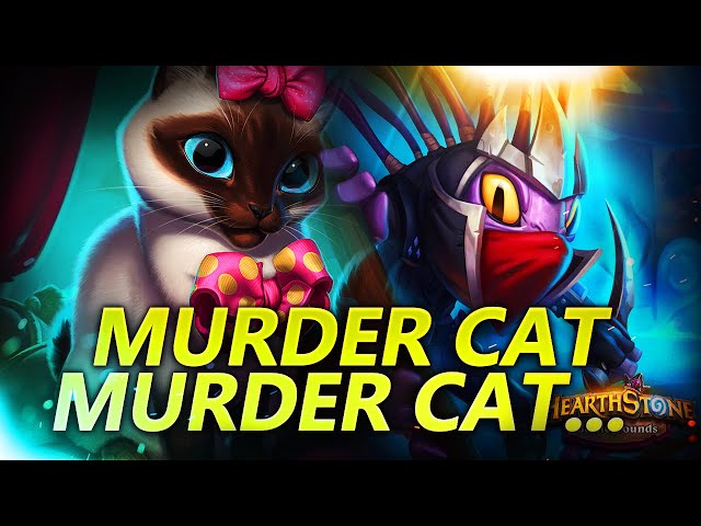 Murder Cat, Murder Cat!!! | Hearthstone Battlegrounds Gameplay | Patch 21.6 | bofur_hs