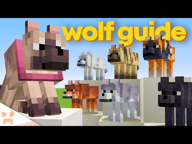 ULTIMATE MINECRAFT 1.21 DOG GUIDE - Secret Locations, How To Find, Dog Armor, & More