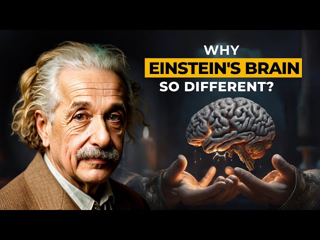 Einstein's Brain: The Hidden Truth Is Revealed!