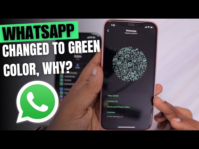 WhatsApp Green Color Texts and Links Changed, Why?