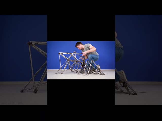 Bicycle Fitted With Spider Legs...