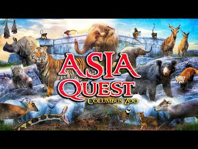 Zoo Tours: Asia Quest | Columbus Zoo & Aquarium