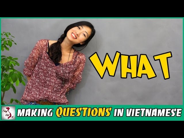 Learn Vietnamese with TVO | WHAT Question