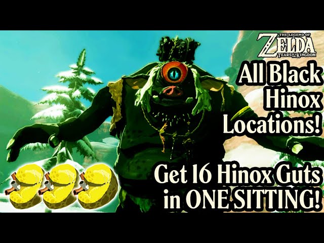 How To Get Hinox Guts - 16 In One Sitting! All Black Hinox Locations - Zelda Tears of the Kingdom
