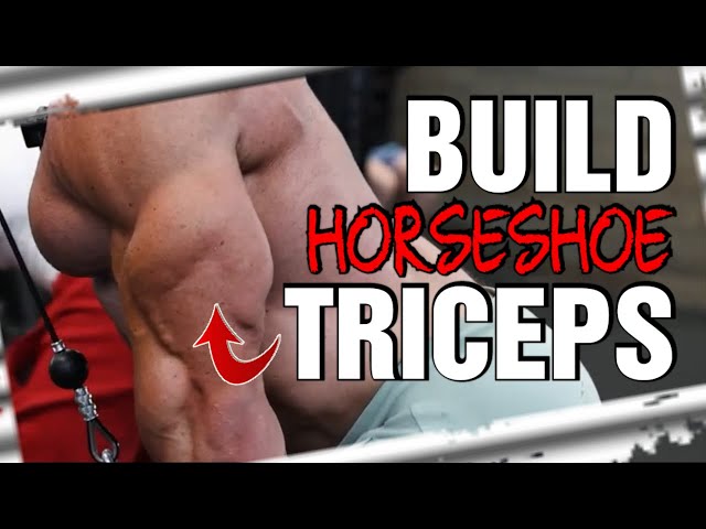 Build Horseshoe Triceps With These Exercises