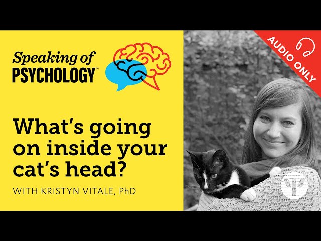 Speaking of Psychology: What’s going on inside your cat’s head? With Kristyn Vitale, PhD