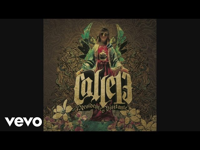 Calle 13 - Uiyi Guaye (Cover Audio Video)