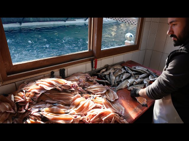 Amazing Trout Fish Farm From Egg to Grill | Turkish Street Foods