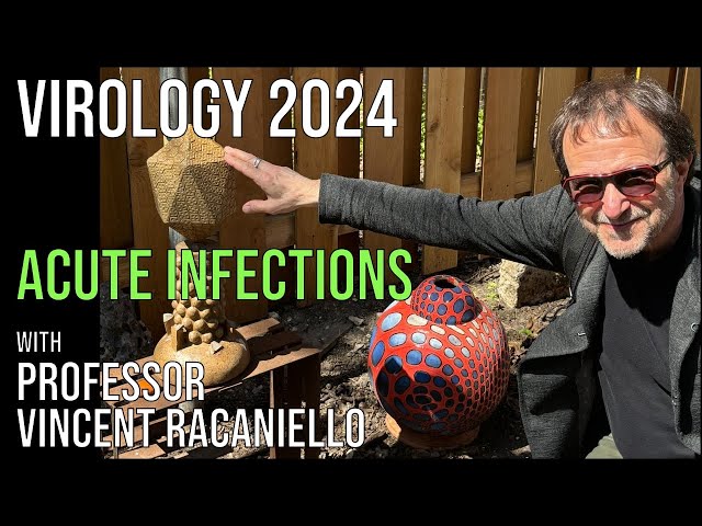 Virology Lectures 2024 #16: Acute Infections