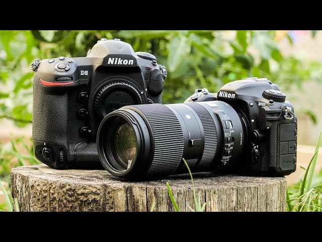 Sigma 100-400 "Real World Review": The BEST "Affordable" Wildlife / Sports lens for under $700