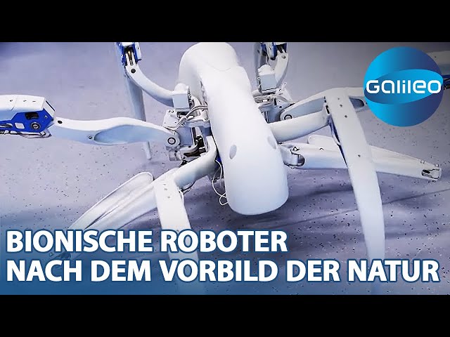 Bionische Helfer: Die Zukunft der Robotertechnologie inspiriert durch die Natur
